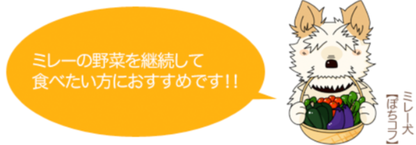 ミレーとは-有機野菜・無農薬野菜の宅配・通販-ミレー-10-22-2024_02_28_PM